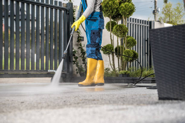 Best Roof Power Washing Services  in Richmond, MI